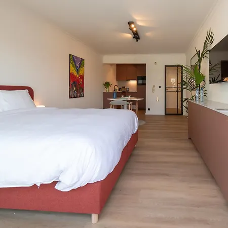 Deluxe Mijnplein O 05 * 奥斯滕德