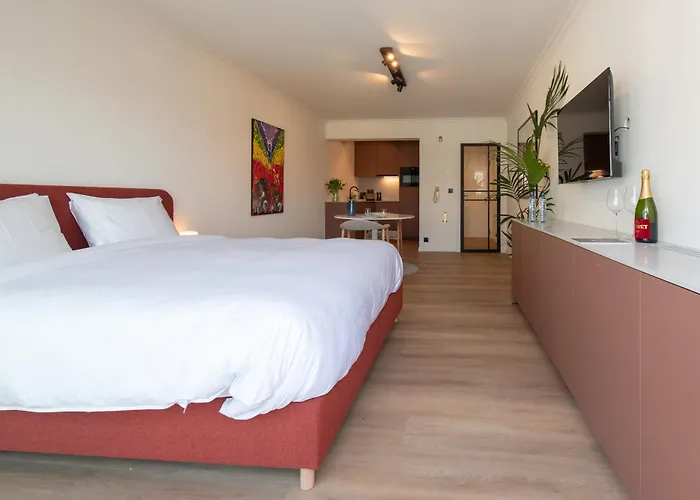 Deluxe Mijnplein O 05 * Ostend